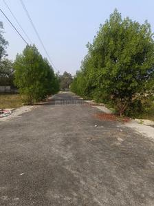 Image of 1250 Sq.ft Residential Plot / Land for sale in Bodri, Bilaspur for Rs. 1500000