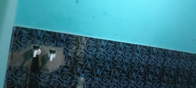 Bedroom Image of 550 Sq.ft 1 BHK Independent House for sale in Zakir Hussain Nagar Nellore for Rs. 2500000