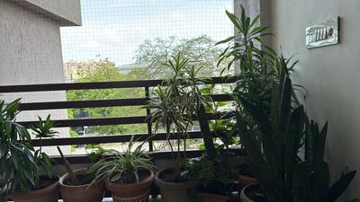 Balcony Image of 2520 Sq.ft 4 BHK Apartment / Flat for sale in Sambhav Stavan Paradise, Jodhpur Ahmedabad for Rs. 19000000