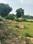 Science City Plot View 2