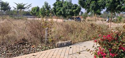 Provident Tivoli Hills Phase 4 Plot View 3