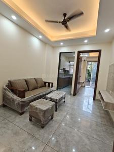 Hall Image of 1000 Sq.ft 2 BHK Builder Floor for rent in Sector 46 Gurgaon for Rs. 48000