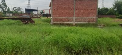 Image of 1360 Sq.ft Residential Plot / Land for sale in Ram Nagar, Varanasi for Rs. 3500000