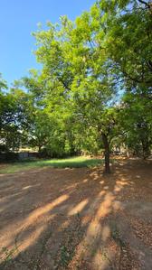 Image of 1000 Sq.ft 1 BHK Villa for sale in Bodakdev, Ahmedabad for Rs. 152500000