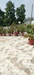 Image of 1420 Sq.ft 3 BHK Builder Floor for sale in Sector 49, Gurgaon for Rs. 24000000