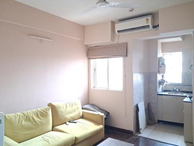 Living Room Image of 440 Sq.ft 1 BHK Apartment / Flat for sale in Paras Tierea, Sector 137 Noida for Rs. 4700000