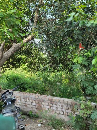 Keshav Nagar, Mithapur Main Image 1