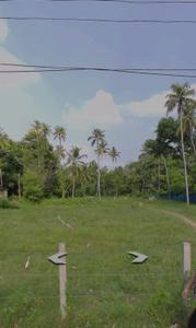 Image of 1350 Sq.ft Residential Plot / Land for sale in Aryad South, Alappuzha for Rs. 275000