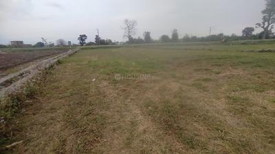 Doiwala Plot View 3