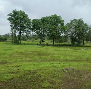 Image of 59895 Sq.ft Residential Plot / Land for sale in Murbad, Thane for Rs. 9350000
