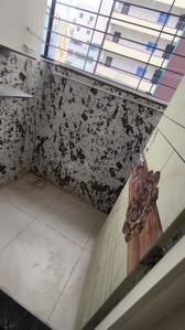 Balcony Image of 780 Sq.ft 1 BHK Apartment / Flat for rent in Kondapur Hyderabad for Rs. 18000