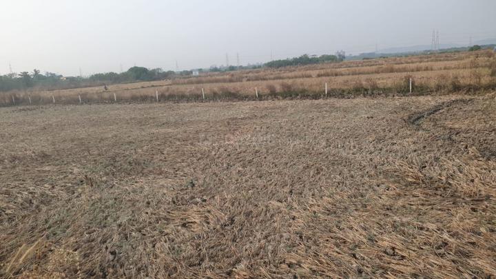 Ranjanpada Main Image 1