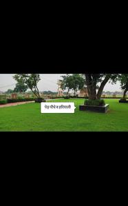 Kuberpur Plot View 2