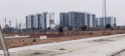 Beltarodi Plot View 2