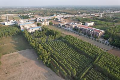 Image of 4900 Sq.ft Residential Plot / Land for sale in Biharigarh, Saharanpur for Rs. 46000000