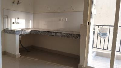Kitchen Image of 960 Sq.ft 2 BHK Apartment / Flat for sale in GLS South Avenue, Sector 92 Gurgaon for Rs. 6000000