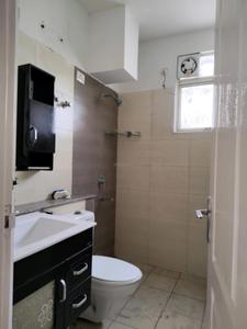 Common Bathroom Image of 1193 Sq.ft 2.5 BHK Apartment / Flat for sale in Stellar Jeevan, Noida Extension Greater Noida for Rs. 10700000