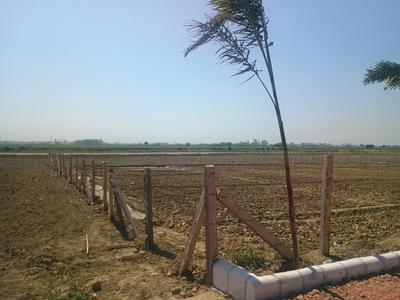 Veda Farm Plot View 2