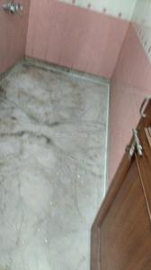 Bathroom Image of 950 Sq.ft 1 BHK Builder Floor for rent in Sector 46 Gurgaon for Rs. 20000
