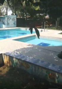 Image of 1800 Sq.ft 2 BHK Villa for sale in Moinabad, Hyderabad for Rs. 37500000