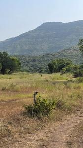 Image of 11000 Sq.ft Residential Plot / Land for sale in Varve Khurd, Pune for Rs. 1750000