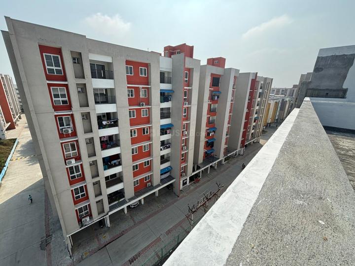 PKR Gurudev Main Image 1