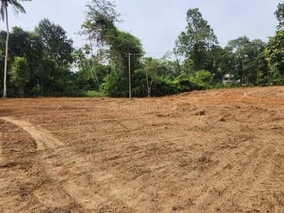 Image of 404 Sq.ft Residential Plot / Land for sale in North Paravoor, Kochi for Rs. 150000