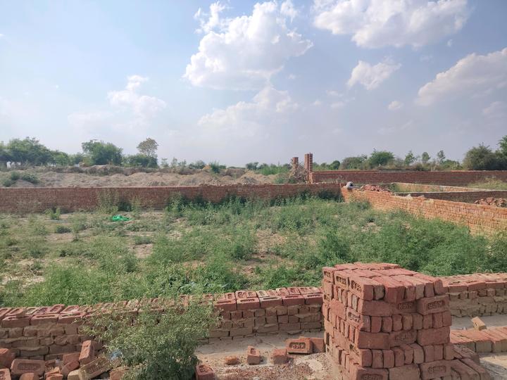 Karoli Bangar Main Image 1