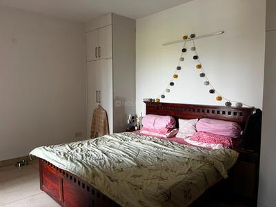 Bedroom Image of 1350 Sq.ft 3 BHK Builder Floor for rent in Khanpur Mohali for Rs. 34500