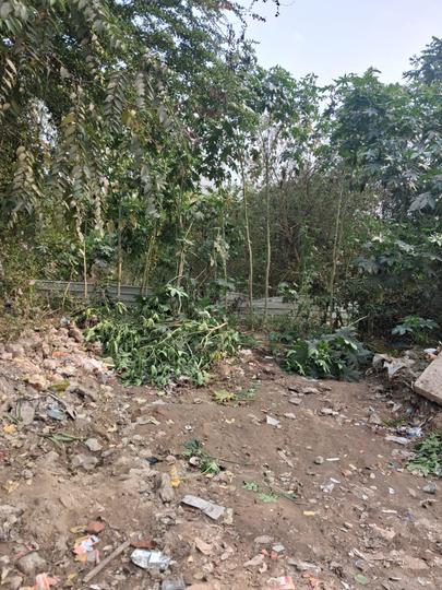 Gomtinagar Main Image 1