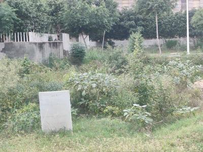 Image of 1440 Sq.ft Residential Plot / Land for sale in HUDA Plots, Sector 78, Faridabad for Rs. 29500000