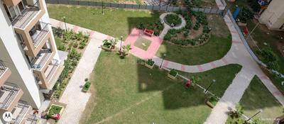 Balcony Image of 807 Sq.ft 2 BHK Apartment / Flat for rent in Amrapali Dream Valley 2, Noida Extension Greater Noida for Rs. 16500
