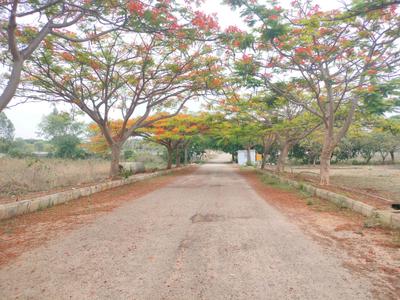 Image of 1672 Sq.ft Residential Plot / Land for sale in Madivala, Bengaluru for Rs. 7942000