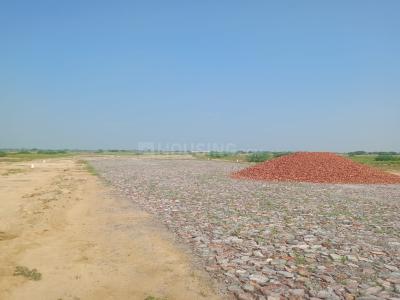 Image of 1350 Sq.ft Residential Plot / Land for sale in Govardhan, Mathura for Rs. 3500000