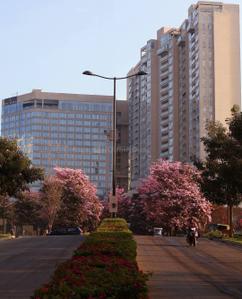 Image of 1059 Sq.ft 2 BHK Apartment / Flat for sale in Bhartiya Nikoo Homes 4, Tirumanahalli, Bengaluru for Rs. 16000000