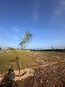Image of 1250 Sq.ft Residential Plot / Land for sale in Prem Nagar, Dehradun for Rs. 2600000