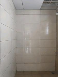 Common Bathroom Image of 860 Sq.ft 2 BHK Villa for sale in Budur, Thiruvallur Chennai for Rs. 4700009