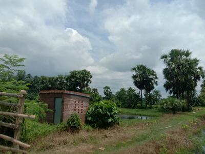 Residential plot Sonarpur Plot View 2