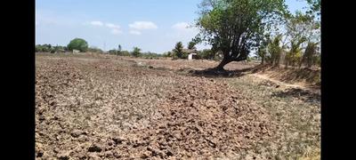 Image of 1089 Sq.ft Residential Plot / Land for sale in Borwe, Raigad for Rs. 335000