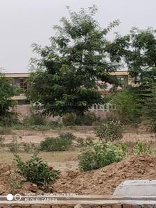 Residential Plot