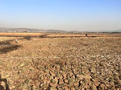 Image of 1089 Sq.ft Residential Plot / Land for sale in Koproli, Navi Mumbai for Rs. 580000