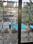 Balcony Image of Aniket PG in Airoli, Navi Mumbai