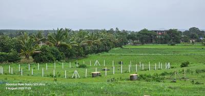 Image of 4446 Sq.ft Residential Plot / Land for sale in Shinde, Nashik for Rs. 4693000