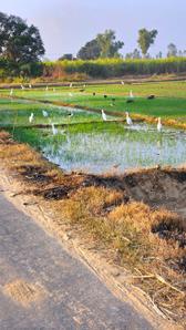 Image of 1089 Sq.ft Residential Plot / Land for sale in Uran, Navi Mumbai for Rs. 530000