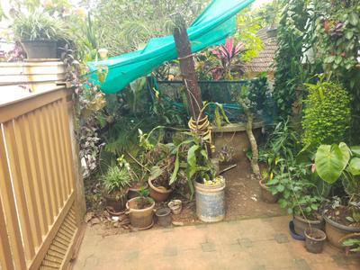 Balcony Image of 2300 Sq.ft 4 BHK Independent House for sale in Irinjalakuda Thrissur for Rs. 7000000