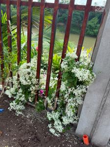 Image of 5000 Sq.ft Residential Plot / Land for sale in Kshipra, Dewas for Rs. 7000000
