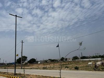 Block Y Plot View 2