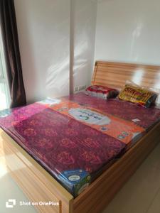 Bedroom Image of 800 Sq.ft 2 BHK Apartment / Flat for rent in Rohan Mithila, Viman Nagar Pune for Rs. 55000