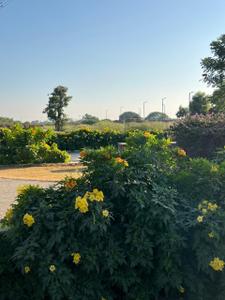 Image of 1000 Sq.ft Residential Plot / Land for sale in Skye City, Higonya, Indore for Rs. 3700000