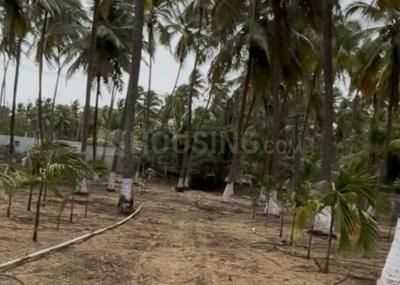 Image of 15681 Sq.ft Residential Plot / Land for sale in Kinathukadavu, Coimbatore for Rs. 9000000
